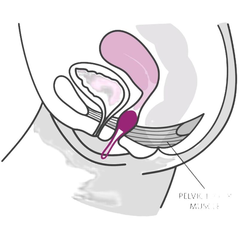 Smartball UNO vaagnapõhjalihaste pall, valge / pastelllilla